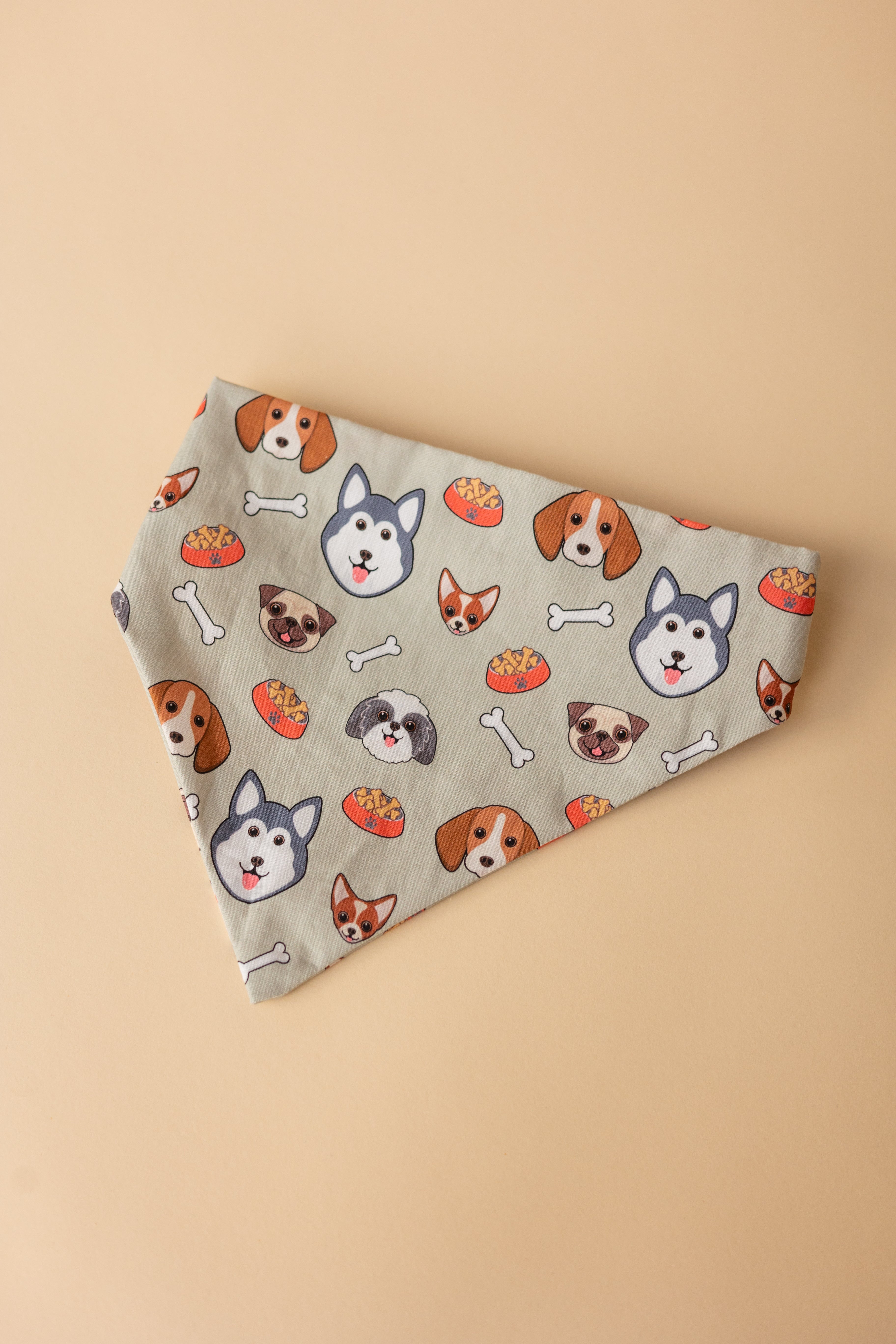 Pop Underwear - Dog Bandana