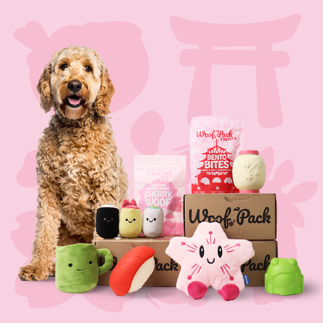 Woof Pack Trial Box