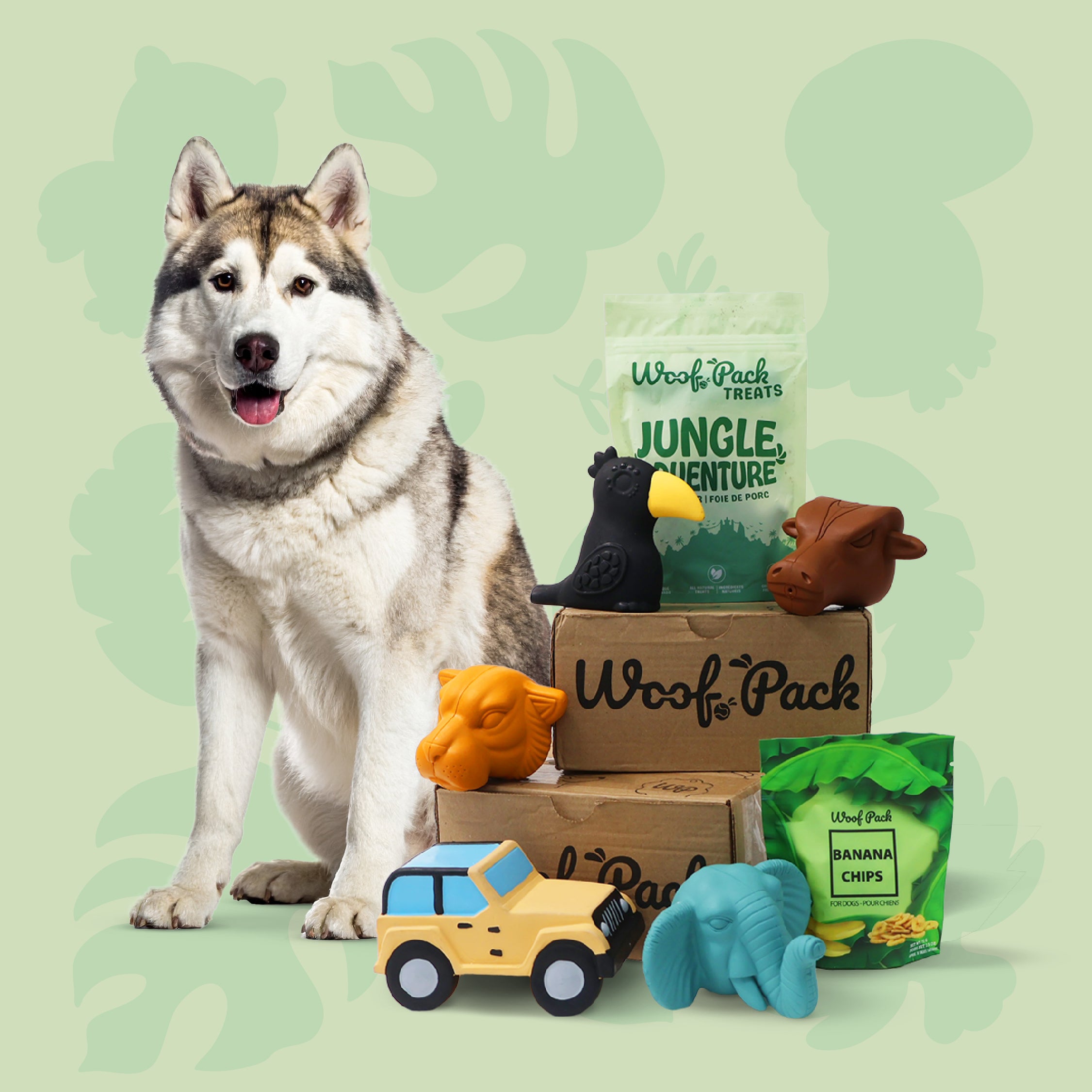 Woof Pack Trial Box