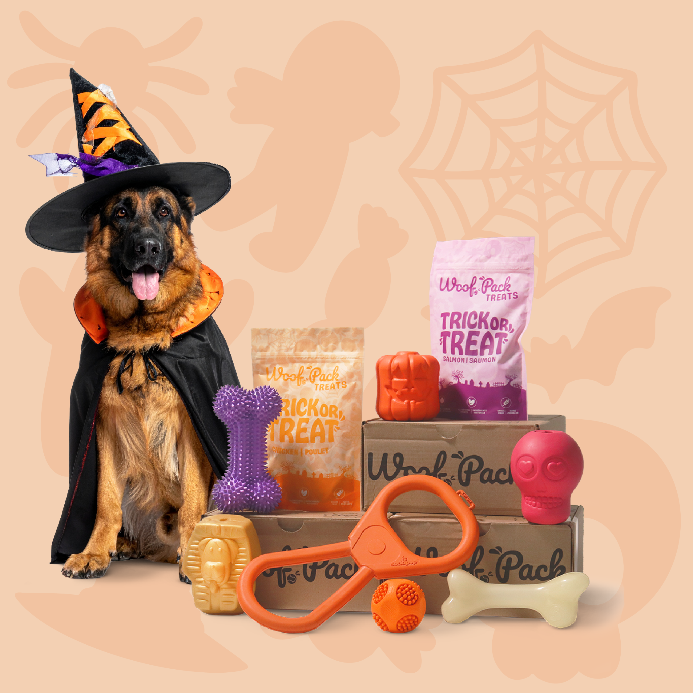 Woof Pack Trial Box