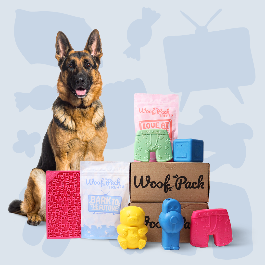 Woof Pack Subscription: Chewer