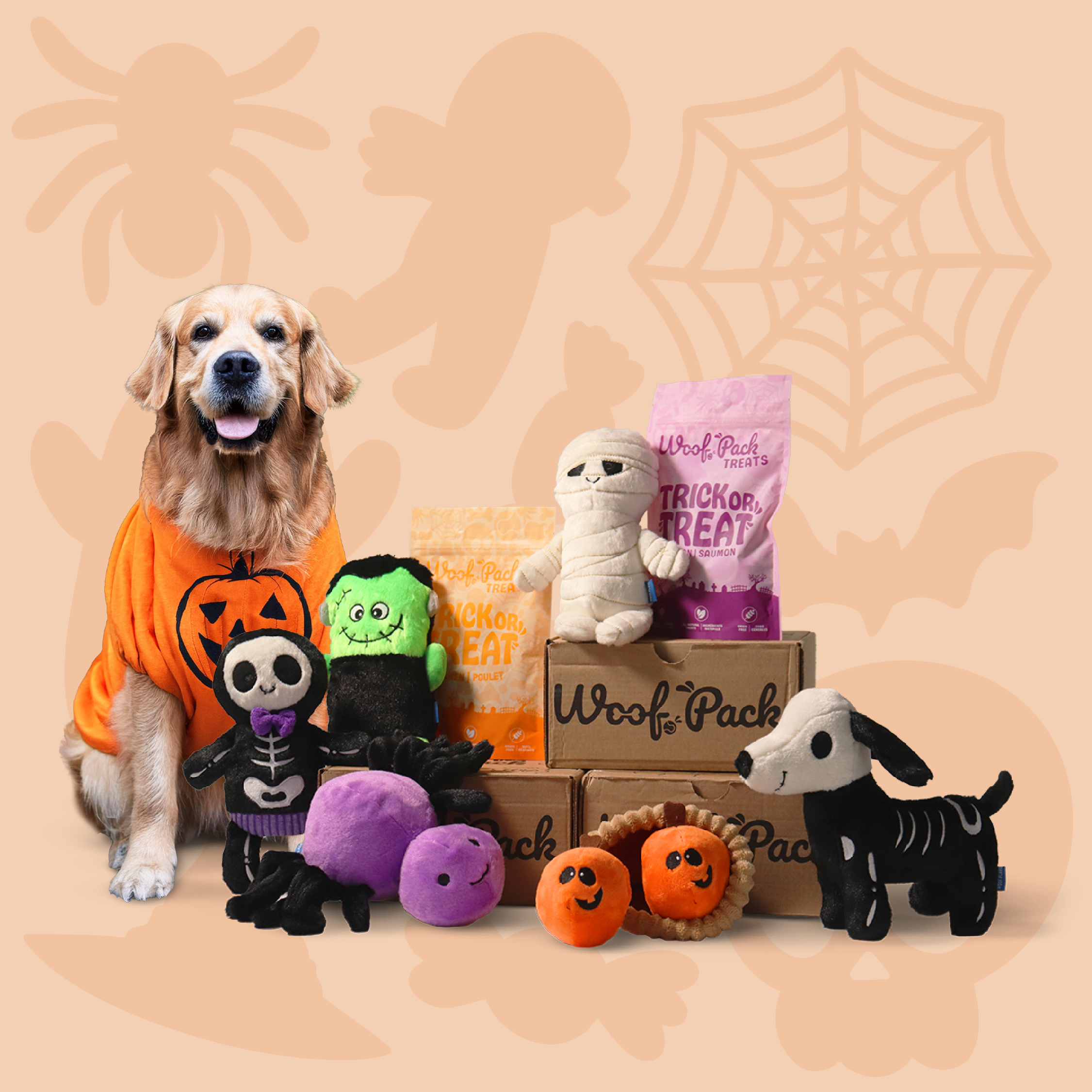 Woof Pack Trial Box
