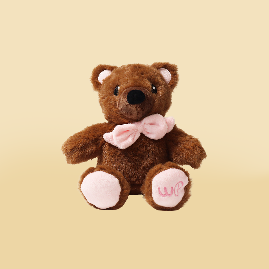 Woof Pack x Pop Underwear - Teddy Bear Toy