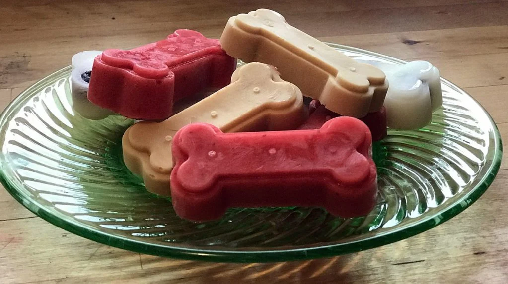 Summer Doggo Treats!