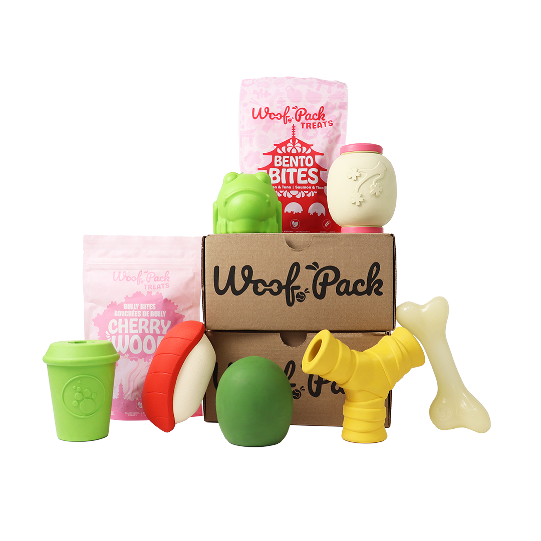 Woof Pack Trip To Japan Box – 6 Toys & 2 Natural Treats