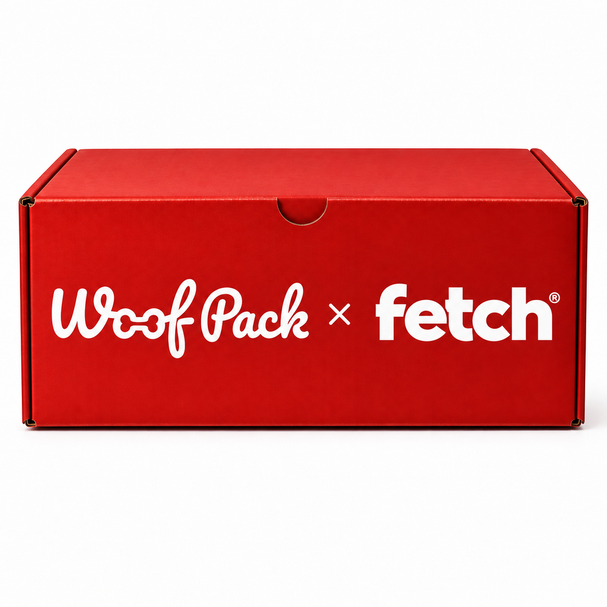 Fetch Free Durable Holiday Box