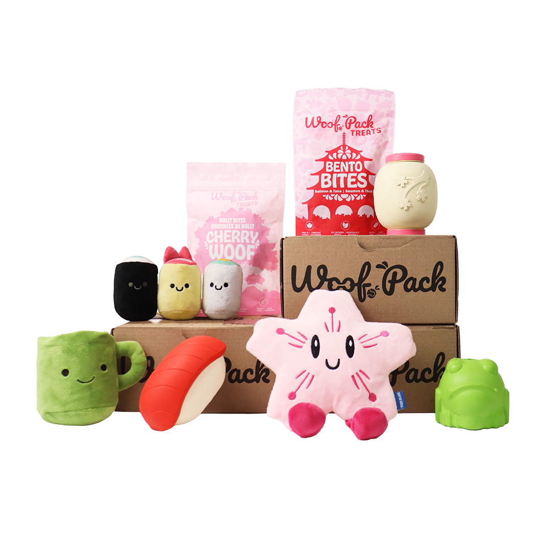Woof Pack Trip To Japan Box – 6 Toys & 2 Natural Treats