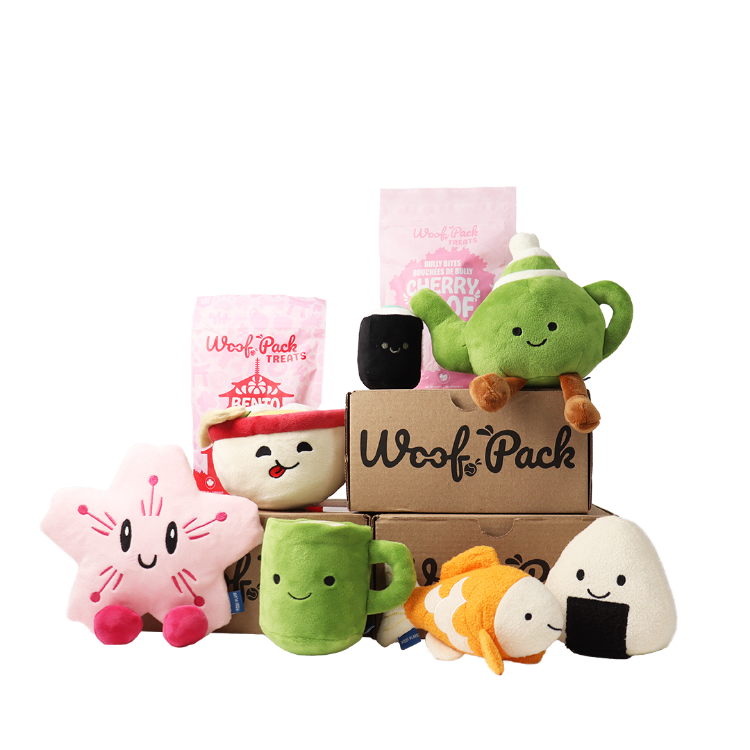 Woof Pack Trip To Japan Box – 6 Toys & 2 Natural Treats