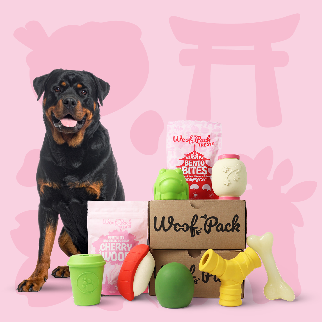 Woof Pack Trial Box