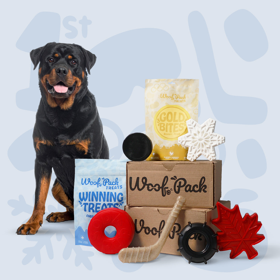 Abonnement Woof Pack : Chewer 