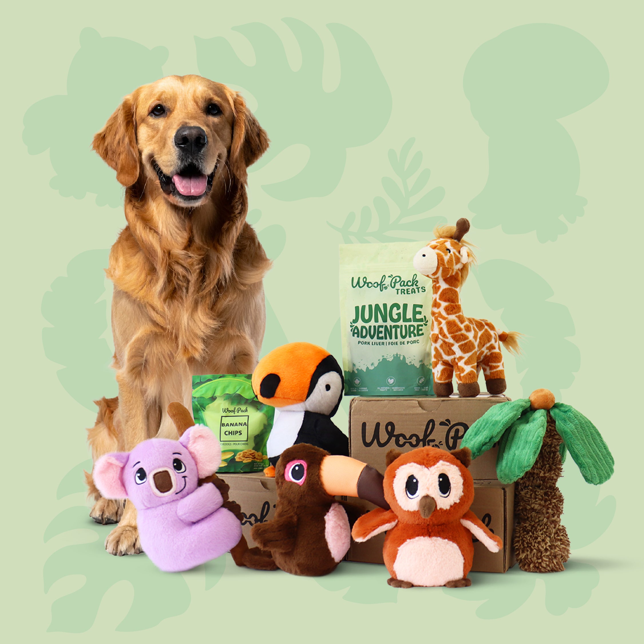 Woof Pack Trial Box