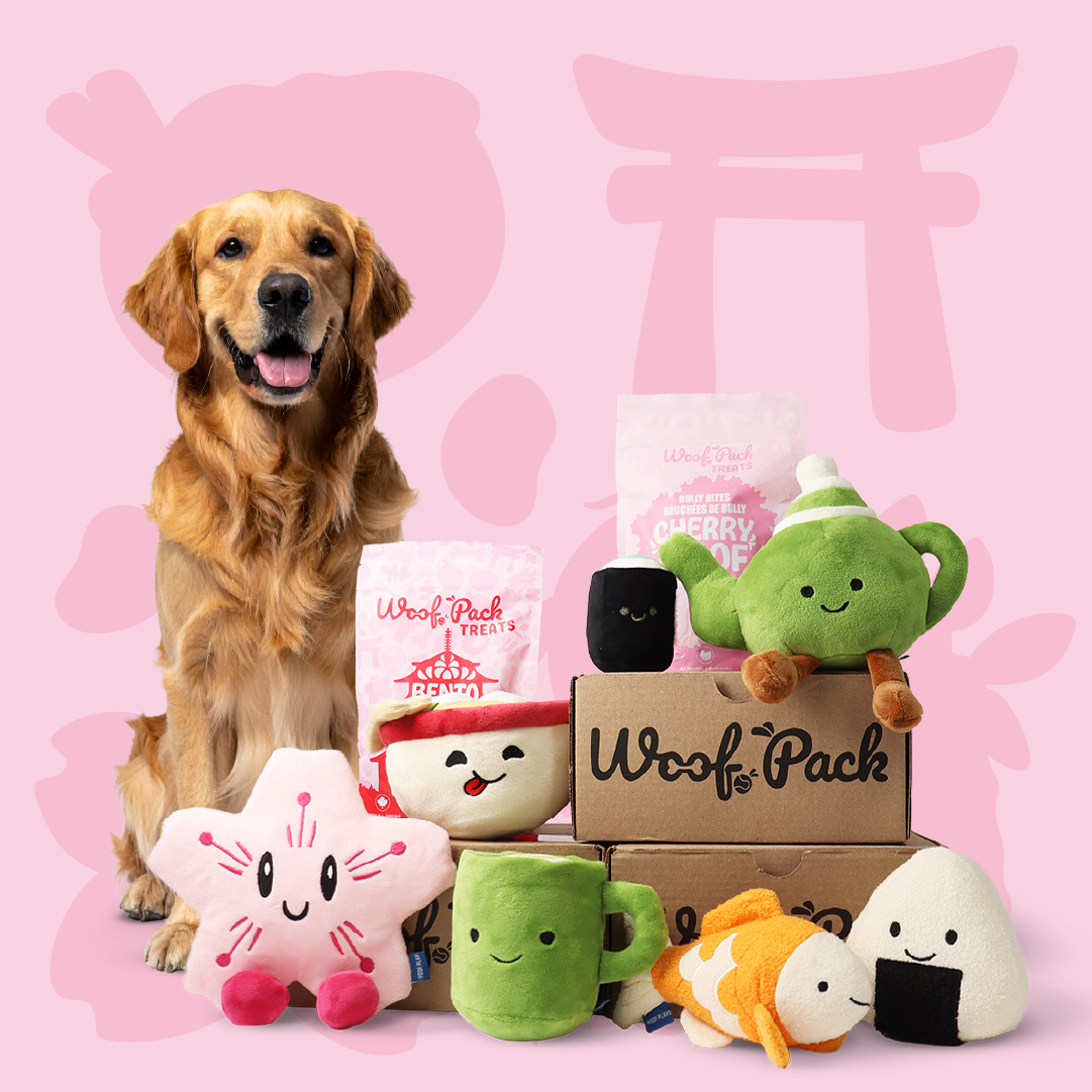 Woof Pack Trial Box