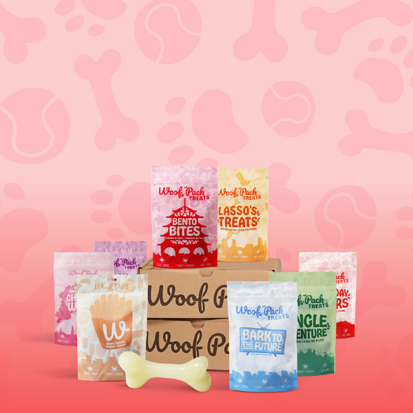 Treats & chews